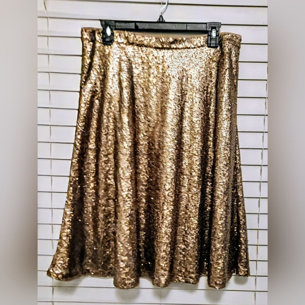 Ann Taylor Sequin Skirt Size 10